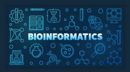 Bioinformatics (Professional Training)