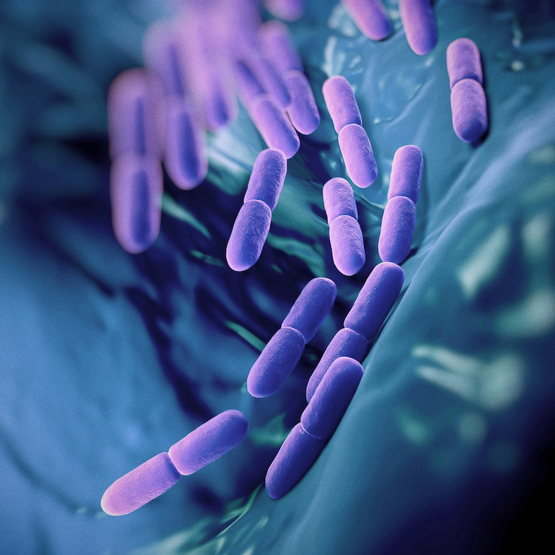 Gut Microbiome: Role of Probiotics in Human Health